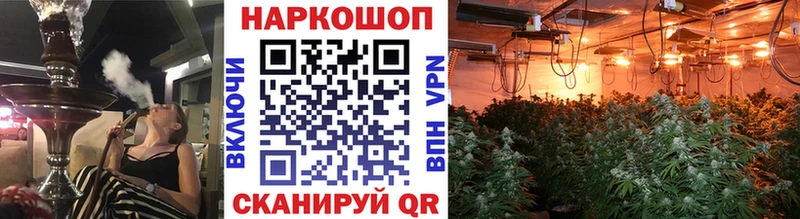 Где купить Котельнич СОЛЬ МЕФ гидра ТОР ГАШ