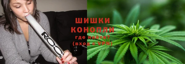 PSILOCYBIN Кукмор
