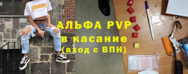 PSILOCYBIN Кукмор