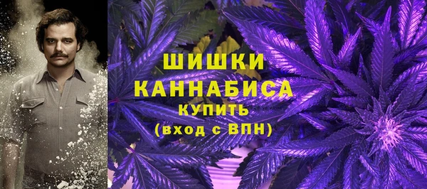 прущий лед Краснослободск