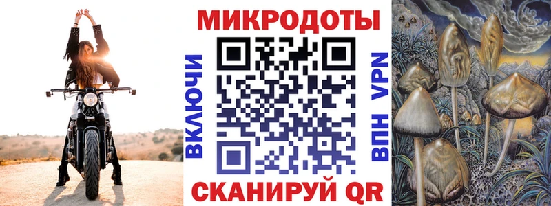 hydra ТОР  Котельнич  Галлюциногенные грибы мицелий 